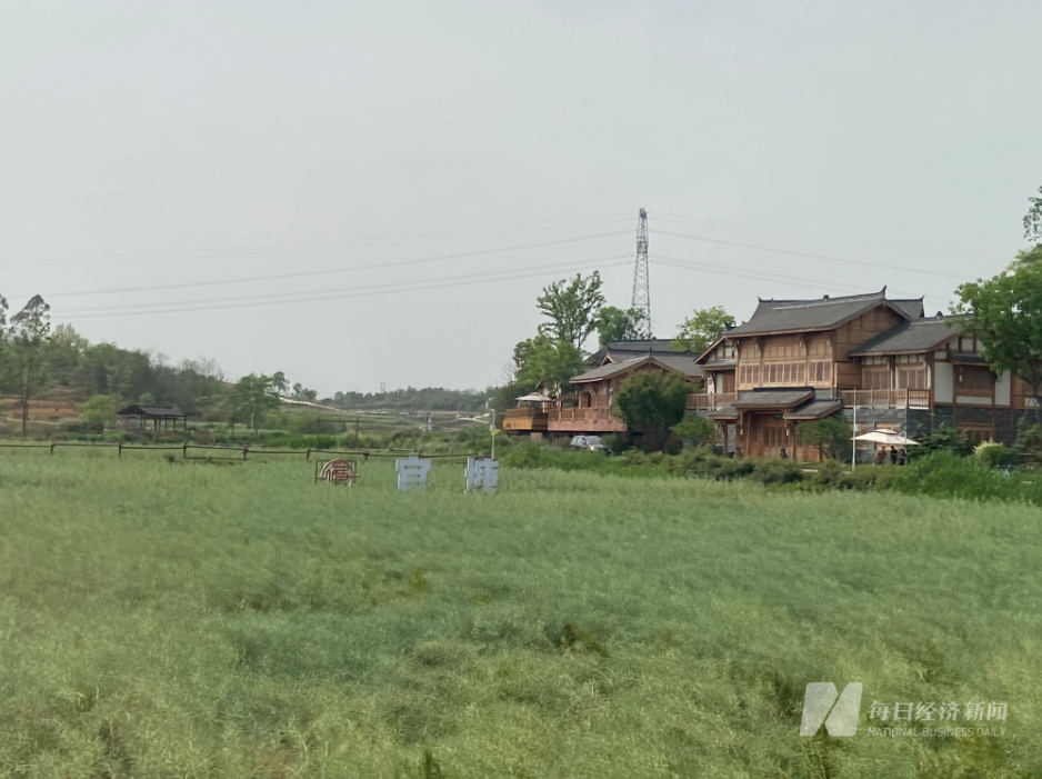 钓鱼嘴村发展变革中的乡村面貌最新报道